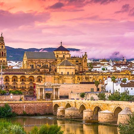 Apartamento Boulevard Gran Capitan Córdoba Eksteriør bilde